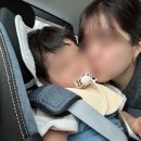 저상목장 네이버블로그