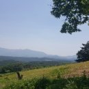 이현숙농장 이미지