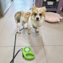 부천동중학교 이미지