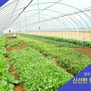 협진농장 이미지