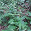 음지농장 이미지