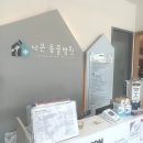 나은동물병원 | 길냥이 귬이 입양 나은동물병원 고양이치료 내돈내산 솔직후기 병원비