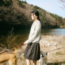 글로벌진돗개 이미지