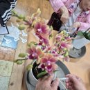 군산시 정신건강복지센터~~ 이미지