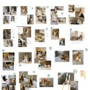 은광프린팅 | 레드프린팅에서 굿즈 제작하기