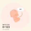 (22~23주) 정밀 초음파, 활발한 태동, 해피테일즈 바디필로우, 마곡 베이비페어