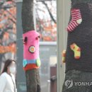 우이천로 이미지