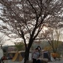 2020년 우리 가족 첫 캠핑 안성 용설호수캠핑장 (04.15) / 첫 들살이 / 제 21대 국회의원 선거일