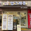 멍그레츄 | 일산 강아지 수제간식 직접 만드는 원데이클래스 멍그레츄 후기