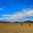 (주)서부 이미지