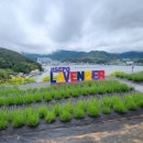 지세포로 이미지