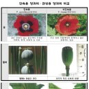 난 핸들이 고장난 8톤 트럭