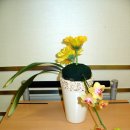 플로리스트(B) 이미지