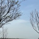 투썸플레이스 홍성소향점 이미지