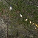 개나리민박 | 제천캠핑장 월악산레트로N캠핑