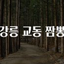 강릉교동짬뽕 이미지