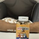 멍냥펀치 | [반려견 간식 추천] 반려견 체중조절 멍냥펀치 간식 레디펫고 면역업 슬림코코넛