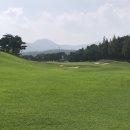 시그너스CC(대중제) 이미지