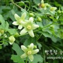 오늘의그림이