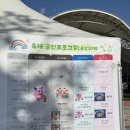 심청농장 | 곡성 심청 어린이 대축제 후기 전남 광주 근교 아기랑 가볼만한곳 가을 나들이 기차마을 체험코스 완전...