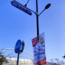 진주 한우숯불구이축제의 모든 것! 구경 후기