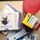 이대전철역 5번출구 이미지