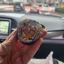 제주소풍김밥