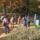부곡1동행정복지센터 Daum카페