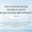 푸른감람나무 이미지