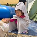 금모래 농장 | 용인 서리숲 아이와가볼만한곳 | 모래놀이·주말농장·수영장까지 완벽했던 당일 글램핑 후기