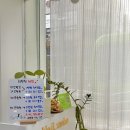 네일모해 이미지