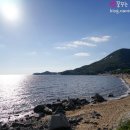 동막해변 티스토리