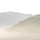 비밀정원3
