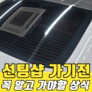 선팅