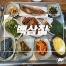나성동 백반 맛집 백삼집 세종 한식맛집 또간집 후기