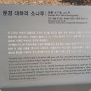 각동제 이미지
