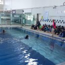 수영환경 이미지