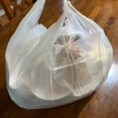 주정차-5 | 대전 도안동 횟집 새로 생긴 맛집 회뜨는도시남자 대짜 후기 내돈내산
