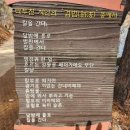 금광