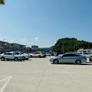 영희칼국수 | [남당항 새조개 맛집] 생물만 사용하는 남당항 맛집 천도수산영희네2