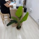 강동구청 | 강동구청필라테스 에고필라테스 후기