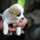 나음동물병원 이미지