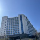 무와 웰니스 랩 | 태교여행 제격! 정선 파크로쉬 다녀왔어요 (숙암 킹 룸 리뷰)