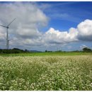 서광목장 이미지