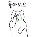 부평매운수제비 네이버블로그
