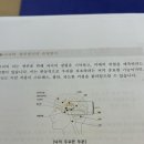 (주)명상 | 마포 마음챙김 명상 후기 | 3회기 알아차림 (지금 이순간 온전하게 살기) | 공덕 요가에이트