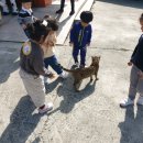 계룡목장 이미지