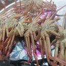 우주상사 이미지