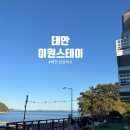 별펜션(나동) | [태안여행] 바다 바로 앞 감성숙소 태안 이원스테이에서 갯벌체험 수영장 바베큐무제한 이용 내돈내산 후기