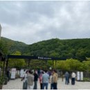 봄꽃힐링투어 | 5월 화담숲 예약 방문 후기 주차 봄꽃 산책로에서 힐링(곤지암리조트 예약링크)
